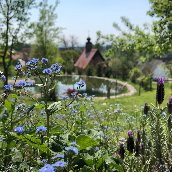 Ferienhaus in Deutschlandsberg